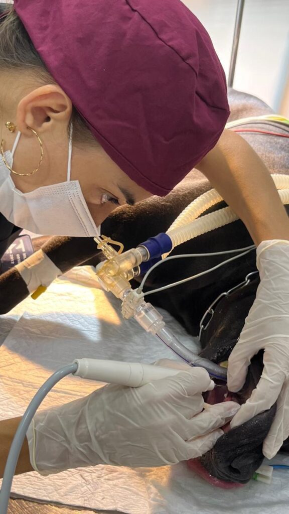 WhatsApp Image 2026-03-02 at 18.26.16 (1)