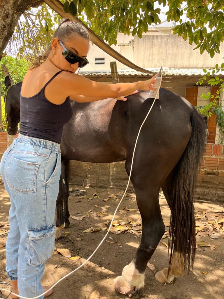 WhatsApp Image 2026-03-02 at 18.26.17 (2)